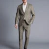 Sharkskin Suit - T
